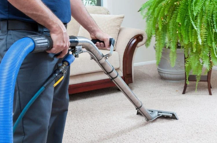 Professional cleaning service